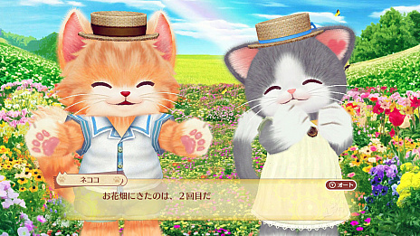 画像ギャラリー No.024のサムネイル画像 / 「ネコ・トモ」の最新情報公開。おしゃべりするネコ達との楽しい暮らしが感じられる「ネコ活」のすべて