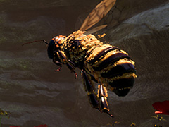 小さな体で大きな世界を生き抜く蜂（ハチ）シミュレーションゲーム「Bee Simulator」の最新トレイラーが公開