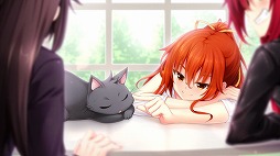 画像ギャラリー No.010のサムネイル画像 / PS4/PS Vita/Switch版「ノラと皇女と野良猫ハート２」，新規描き下ろしイベントCGを一部公開