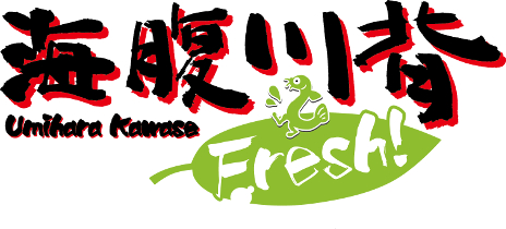 画像ギャラリー No.004のサムネイル画像 / アクション「海腹川背 Fresh!」の公式サイトが開設。システムやキャラクター情報，プレイ動画などが公開