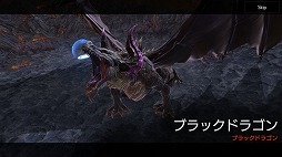 画像ギャラリー No.004のサムネイル画像 / 「FAITH - フェイス」，共闘型の新コンテンツ「フィールドボス」が登場