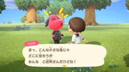 画像ギャラリー No.008のサムネイル画像 / いよいよ明日発売「あつまれ どうぶつの森」を先行プレイ。自由度の高い島生活を1週間だけ体験してみた