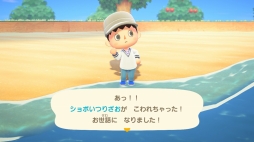 画像ギャラリー No.018のサムネイル画像 / いよいよ明日発売「あつまれ どうぶつの森」を先行プレイ。自由度の高い島生活を1週間だけ体験してみた