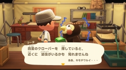 画像ギャラリー No.035のサムネイル画像 / いよいよ明日発売「あつまれ どうぶつの森」を先行プレイ。自由度の高い島生活を1週間だけ体験してみた