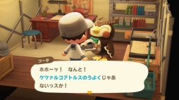 画像ギャラリー No.037のサムネイル画像 / いよいよ明日発売「あつまれ どうぶつの森」を先行プレイ。自由度の高い島生活を1週間だけ体験してみた
