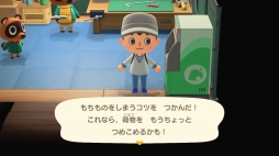 画像ギャラリー No.074のサムネイル画像 / いよいよ明日発売「あつまれ どうぶつの森」を先行プレイ。自由度の高い島生活を1週間だけ体験してみた