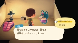 画像ギャラリー No.087のサムネイル画像 / いよいよ明日発売「あつまれ どうぶつの森」を先行プレイ。自由度の高い島生活を1週間だけ体験してみた