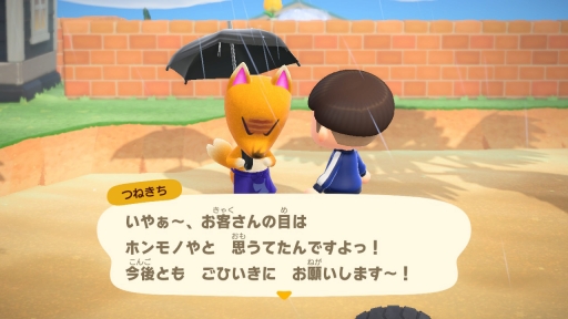 画像ギャラリー No.005のサムネイル画像 / 「あつまれ どうぶつの森」最新アップデートで，つねきちが島にやってくる。いなりマーケットやレイジの園芸店，開催予定の季節イベントを紹介