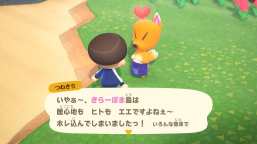 画像ギャラリー No.025のサムネイル画像 / 「あつまれ どうぶつの森」最新アップデートで，つねきちが島にやってくる。いなりマーケットやレイジの園芸店，開催予定の季節イベントを紹介