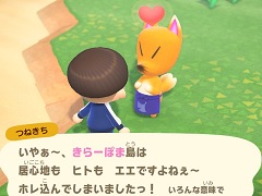 「あつまれ どうぶつの森」最新アップデートで，つねきちが島にやってくる。いなりマーケットやレイジの園芸店，開催予定の季節イベントを紹介