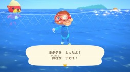画像ギャラリー No.006のサムネイル画像 / 「あつまれ どうぶつの森」の海が遊泳解禁。無料アップデートを7月3日10：00より配信。オリジナルグッズが「Nintendo TOKYO」に登場