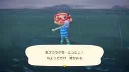 画像ギャラリー No.014のサムネイル画像 / 「あつまれ どうぶつの森」で海開き! 島の周囲の海を泳げる新バージョンで海水浴を楽しんだ