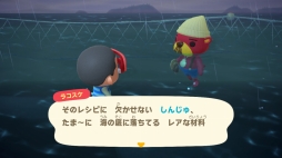 画像ギャラリー No.016のサムネイル画像 / 「あつまれ どうぶつの森」で海開き！　島の周囲の海を泳げる新バージョンで海水浴を楽しんだ