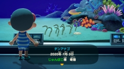 画像ギャラリー No.024のサムネイル画像 / 「あつまれ どうぶつの森」で海開き！　島の周囲の海を泳げる新バージョンで海水浴を楽しんだ