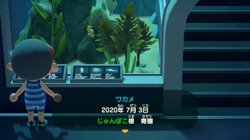 画像ギャラリー No.025のサムネイル画像 / 「あつまれ どうぶつの森」で海開き！　島の周囲の海を泳げる新バージョンで海水浴を楽しんだ