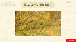 画像ギャラリー No.032のサムネイル画像 / ［CEDEC 2020］「あつまれ　どうぶつの森」のアートができるまで。語りすぎない日常の画面はこうして作られた