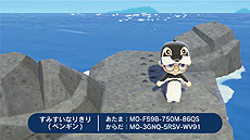 画像ギャラリー No.024のサムネイル画像 / すみだ水族館が「あつまれ どうぶつの森」で“すみすい島”を公開。チンアナゴの日（11月11日）にはファンミーティングを開催予定