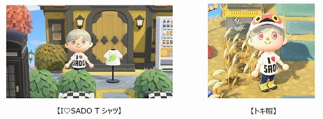 画像ギャラリー No.005のサムネイル画像 / 「あつまれ どうぶつの森」でバーチャル佐渡観光! 新潟県佐渡市が“さどが島(しま)”を本日公開。“トキ帽”などのマイデザインも