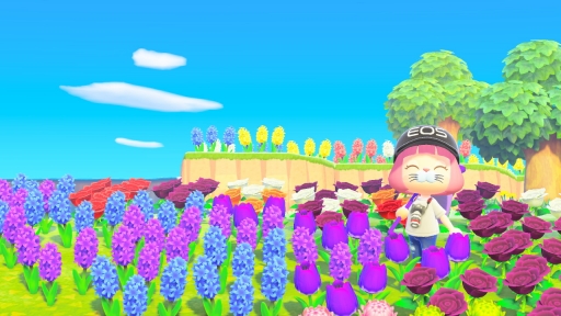 画像ギャラリー No.103のサムネイル画像 / 「あつまれ どうぶつの森」1周年企画。第2回は,数多く公開されたマイデザインや夢番地などから“島の外での盛り上がり”を振り返る