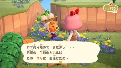 画像ギャラリー No.033のサムネイル画像 / 「あつまれ どうぶつの森」が1周年！ お祝い企画第3回目は，“衣・食・住”でゲームの面白さや島での生活の楽しさを掘り下げる