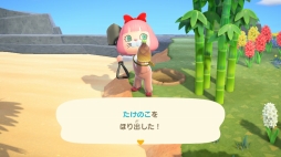 画像ギャラリー No.054のサムネイル画像 / 「あつまれ どうぶつの森」が1周年！ お祝い企画第3回目は，“衣・食・住”でゲームの面白さや島での生活の楽しさを掘り下げる