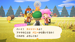 画像ギャラリー No.014のサムネイル画像 / 「あつまれ どうぶつの森」 にて喫茶ハトの巣が“開店”！ 島の生活が充実する無料アップデートや有料DLCのハッピーホームパラダイスが11月5日配信