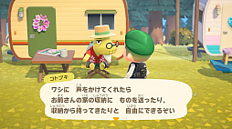 画像ギャラリー No.021のサムネイル画像 / 「あつまれ どうぶつの森」 にて喫茶ハトの巣が“開店”！ 島の生活が充実する無料アップデートや有料DLCのハッピーホームパラダイスが11月5日配信