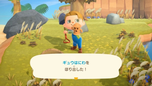 画像ギャラリー No.043のサムネイル画像 / 「あつまれ どうぶつの森」 にて喫茶ハトの巣が“開店”！ 島の生活が充実する無料アップデートや有料DLCのハッピーホームパラダイスが11月5日配信