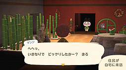 画像ギャラリー No.048のサムネイル画像 / 「あつまれ どうぶつの森」 にて喫茶ハトの巣が“開店”！ 島の生活が充実する無料アップデートや有料DLCのハッピーホームパラダイスが11月5日配信