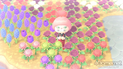画像ギャラリー No.048のサムネイル画像 / 「あつまれ どうぶつの森」で始まる新しい暮らし。料理に仕事，喫茶店……アップデート＆新コンテンツ体験記をたっぷりの写真とともにお届け