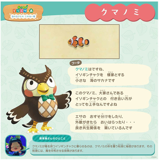 画像ギャラリー No.007のサムネイル画像 / 「あつまれ どうぶつの森」のリアルイベント「海のいきもの ふれあい展」，6月15日から9月18日まで開催。リュウグウノツカイの標本など展示