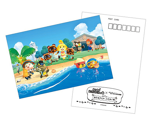 画像ギャラリー No.006のサムネイル画像 / 「あつまれ どうぶつの森」のリアルイベント「海のいきもの ふれあい展」をいおワールドかごしま水族館で11月21日から開催