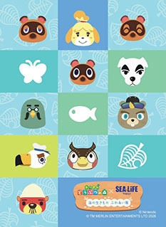 画像ギャラリー No.003のサムネイル画像 / 「あつ森」と名古屋シーライフ水族館がコラボした「海の生きもの ふれあい展」,1月30日より開催決定