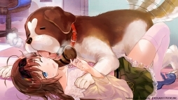 画像ギャラリー No.003のサムネイル画像 / ［TGS 2018］「夢現Re：Master」が2019年2月に発売。工画堂スタジオ しまりすさんちーむ制作の“キラ☆ふわガールズラブゲーム制作会社ADV”