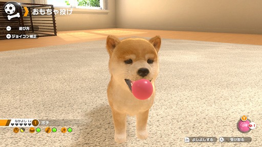 画像ギャラリー No.007のサムネイル画像 / 子犬や子猫と触れ合える育成ゲーム「LITTLE FRIENDS -DOGS & CATS-」がSwitch向けに12月6日発売