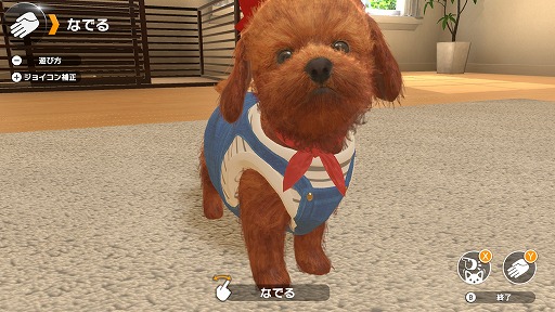 画像ギャラリー No.008のサムネイル画像 / 子犬や子猫と触れ合える育成ゲーム「LITTLE FRIENDS -DOGS & CATS-」がSwitch向けに12月6日発売