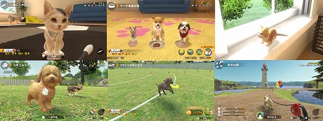 画像ギャラリー No.002のサムネイル画像 / Nintendo Switch「LITTLE FRIENDS -DOGS ＆ CATS-」が本日リリース。インスタで大人気の兄妹猫「茶太郎・きなこ」による体験動画も公開