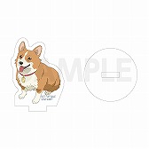 画像ギャラリー No.003のサムネイル画像 / 「WAVE!!〜サーフィンやっぺ!!〜」スペシャルイベントが配信で視聴可能に。配信チケット販売がスタート