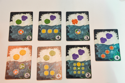 画像ギャラリー No.009のサムネイル画像 / ［SPIEL'18］ほかのプレイヤーを出し抜きつつ，自分のサンゴ礁を育てる「Reef」を遊んでみた