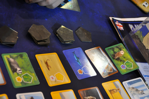 画像ギャラリー No.005のサムネイル画像 / ［SPIEL'18］動物達が住みやすい12面体の惑星を作ろう。コンポーネントとゲームシステムの面白さを兼ね備えた「Planet」のプレイレポート