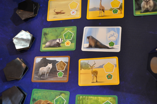 画像ギャラリー No.013のサムネイル画像 / ［SPIEL'18］動物達が住みやすい12面体の惑星を作ろう。コンポーネントとゲームシステムの面白さを兼ね備えた「Planet」のプレイレポート