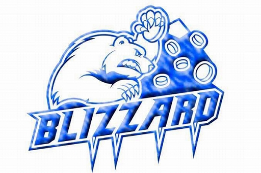 画像ギャラリー No.005のサムネイル画像 / 「Arena of Valor World Cup 2019」に日本代表チーム「BLIZZARD」が初出場。大会概要も紹介