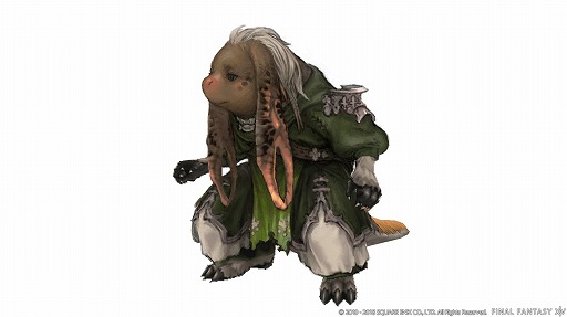 画像ギャラリー No.011のサムネイル画像 / 吉田直樹氏による「ファイナルファンタジーXIV」ファンイベントの基調講演をレポート。フェイスやワールド間テレポ,新種族,青魔道士の追加が発表