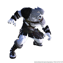画像ギャラリー No.010のサムネイル画像 / 「FFXIV」拡張パッケージ「漆黒のヴィランズ」の情報が集まる公式プロモーションサイトが本日オープン
