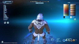 画像ギャラリー No.005のサムネイル画像 / 「FFXIV:漆黒のヴィランズ」ベンチマークで新種族のキャラメイクをやってみよう。僕の考えた最強の「ロスガル」と「ヴィエラ」を見てくれ