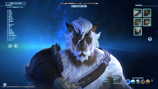 画像ギャラリー No.008のサムネイル画像 / 「FFXIV:漆黒のヴィランズ」ベンチマークで新種族のキャラメイクをやってみよう。僕の考えた最強の「ロスガル」と「ヴィエラ」を見てくれ