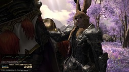 画像ギャラリー No.022のサムネイル画像 / 「FFXIV:漆黒のヴィランズ」ベンチマークで新種族のキャラメイクをやってみよう。僕の考えた最強の「ロスガル」と「ヴィエラ」を見てくれ