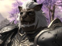 「FFXIV：漆黒のヴィランズ」ベンチマークで新種族のキャラメイクをやってみよう。僕の考えた最強の「ロスガル」と「ヴィエラ」を見てくれ
