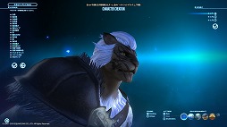 画像ギャラリー No.025のサムネイル画像 / 「FFXIV:漆黒のヴィランズ」ベンチマークで新種族のキャラメイクをやってみよう。僕の考えた最強の「ロスガル」と「ヴィエラ」を見てくれ