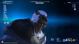 画像ギャラリー No.026のサムネイル画像 / 「FFXIV:漆黒のヴィランズ」ベンチマークで新種族のキャラメイクをやってみよう。僕の考えた最強の「ロスガル」と「ヴィエラ」を見てくれ